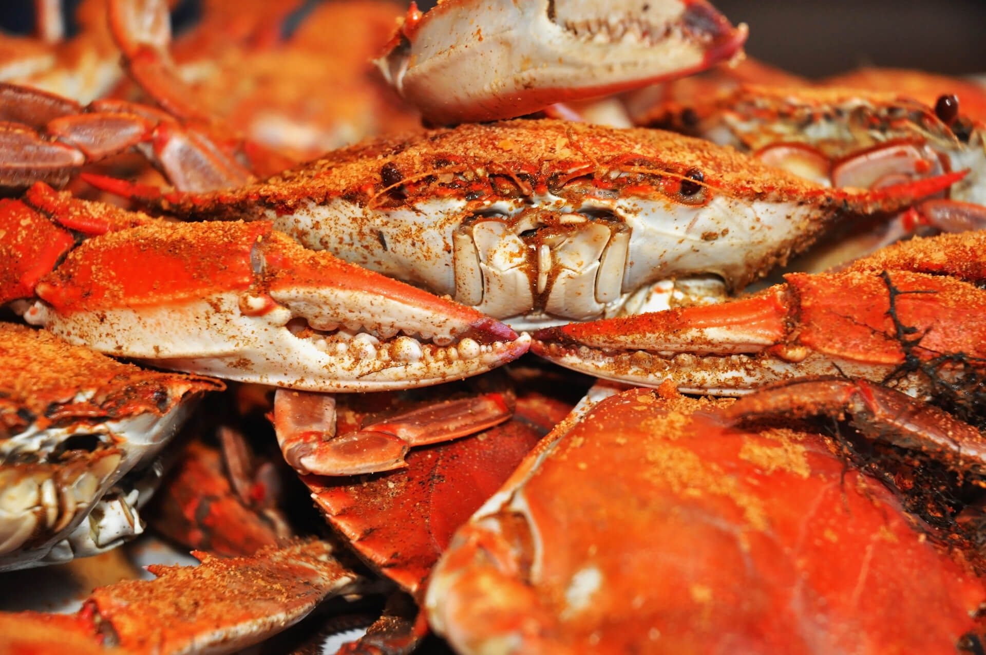 About | Best Crabs Salisbury MD & Seafood Market Carry-Out