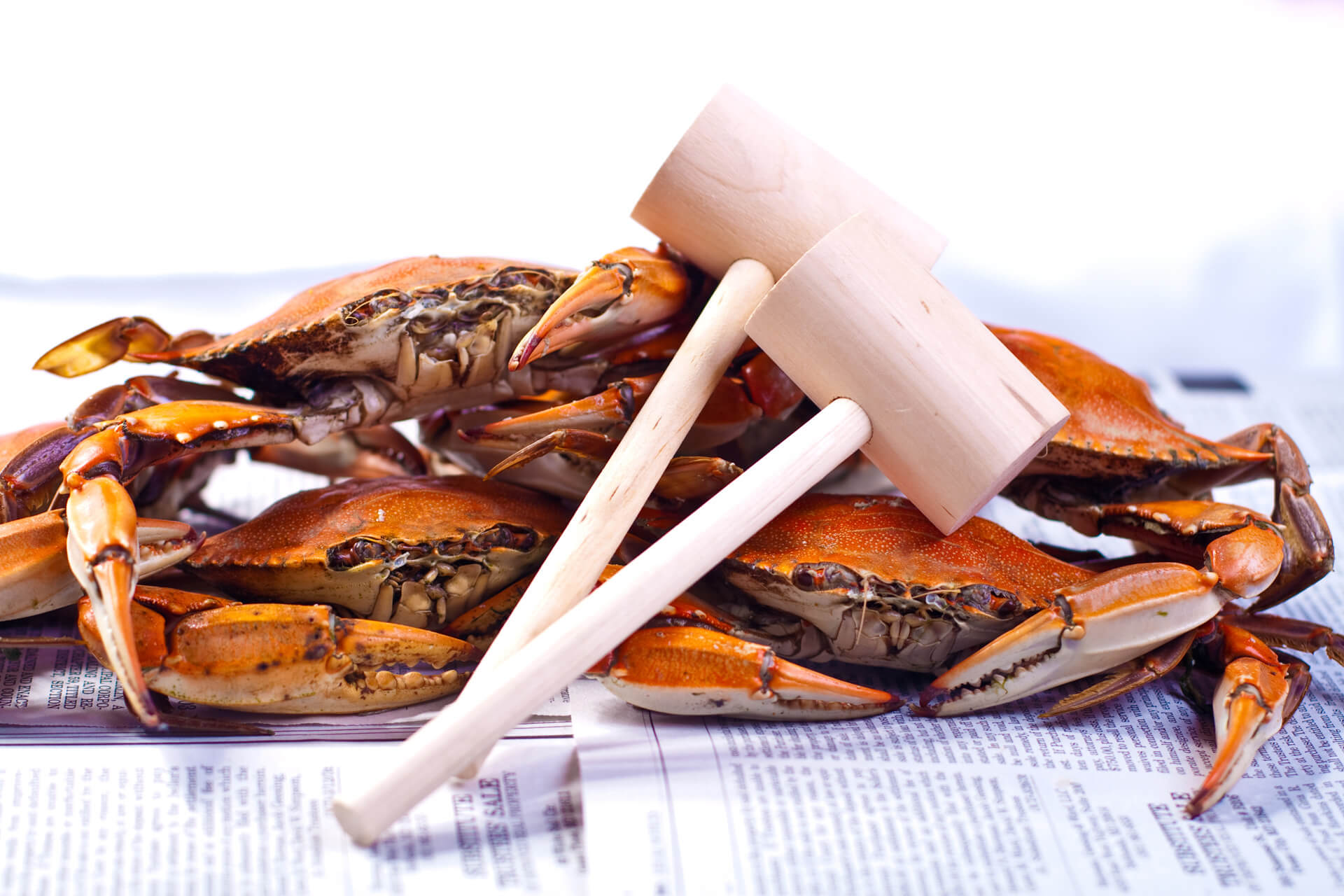 Best CarryOut Steamed Crabs Eastern Shore Salisbury Maryland